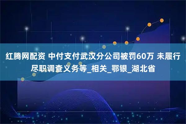 红腾网配资 中付支付武汉分公司被罚60万 未履行尽职调查义务等_相关_鄂银_湖北省