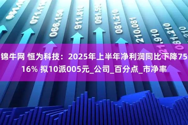 锦牛网 恒为科技：2025年上半年净利润同比下降7516% 拟10派005元_公司_百分点_市净率