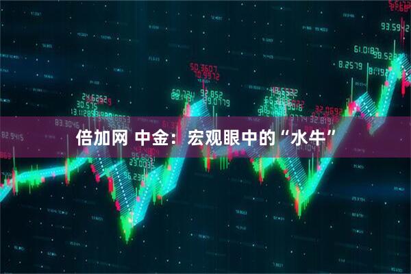 倍加网 中金：宏观眼中的“水牛”