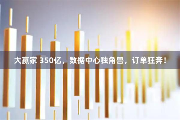 大赢家 350亿，数据中心独角兽，订单狂奔！