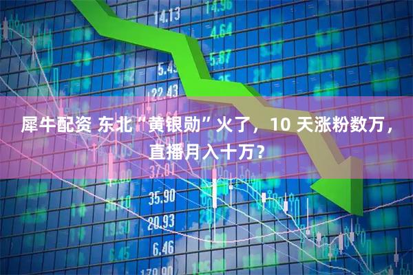 犀牛配资 东北“黄银勋”火了，10 天涨粉数万，直播月入十万？